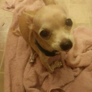 Meet your Posher, William